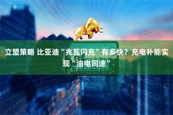 立盟策略 比亚迪“兆瓦闪充”有多快？充电补能实现“油电同速”