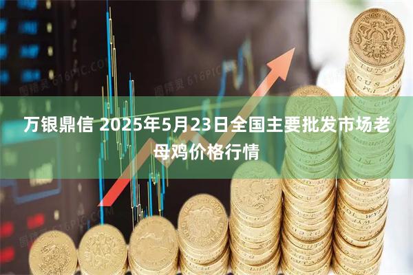 万银鼎信 2025年5月23日全国主要批发市场老母鸡价格行情