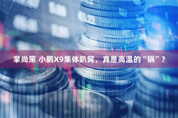掌尚策 小鹏X9集体趴窝，真是高温的“锅”？